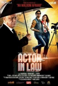 Movie Poster Of Actor In Law