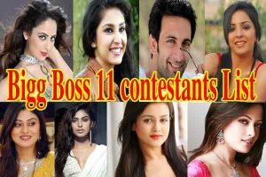 Bigg Boss 11 Contestants