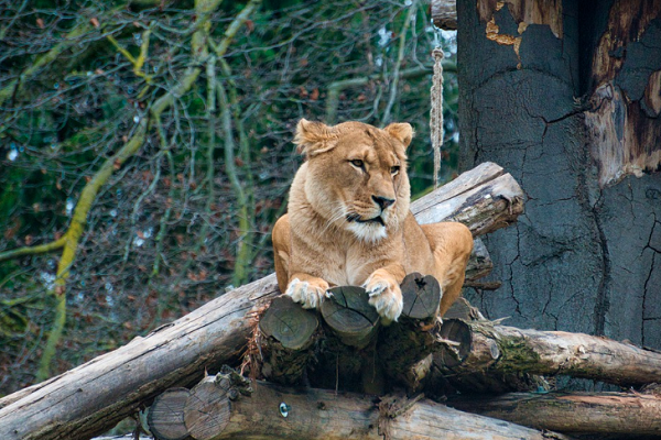 Zoo & Aquarium Management Software 