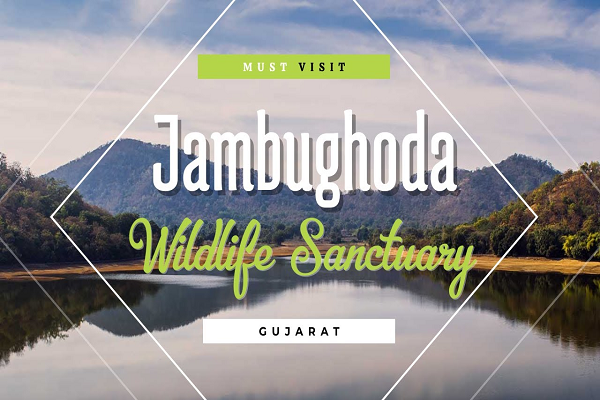 Jambughoda Wildlife Sanctuary
