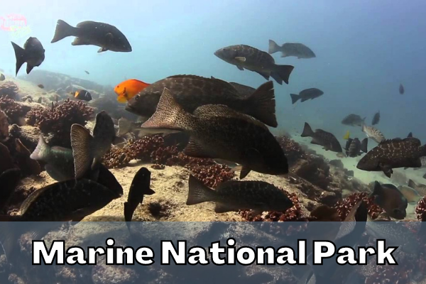 Marine National Park