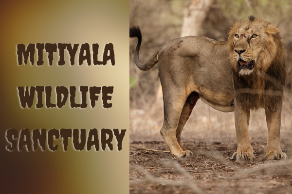 Mitiyala Wildlife Sanctuary