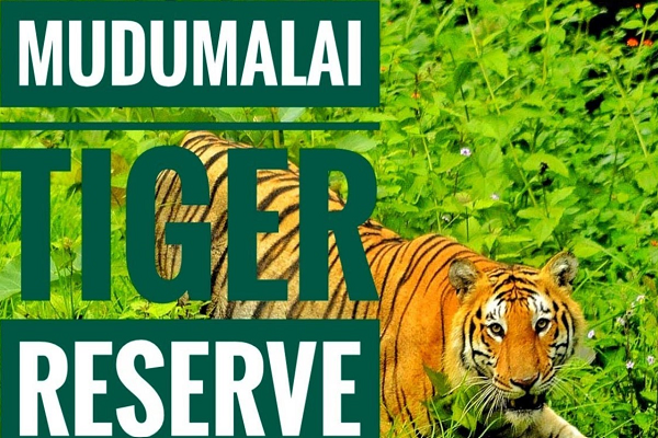 Mudumalai National Park