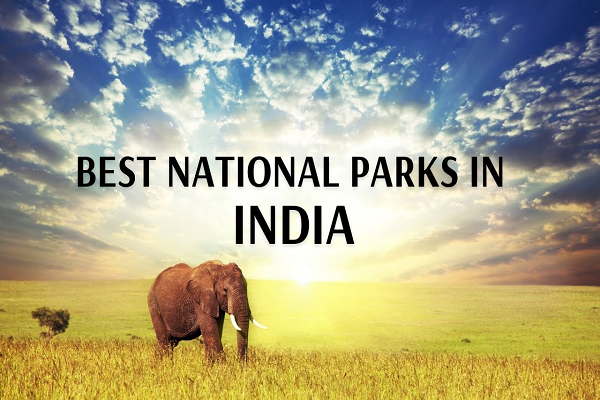 National Parks In India