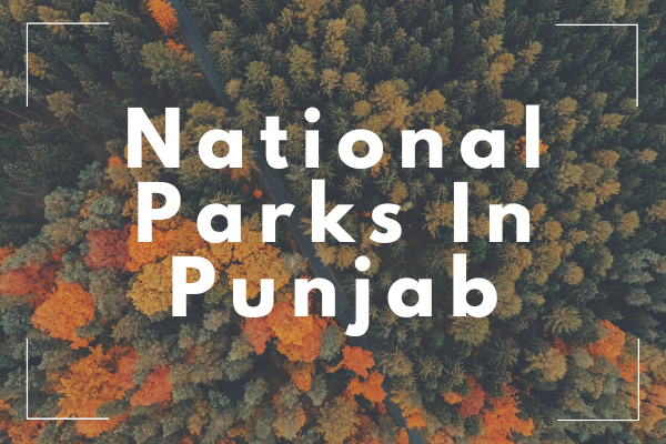 National Parks In Punjab