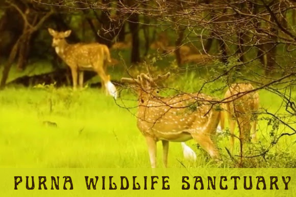 Purna Wildlife Sanctuary