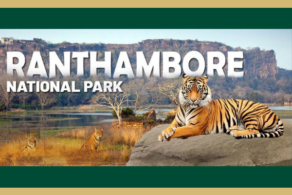 Ranthambore National Park