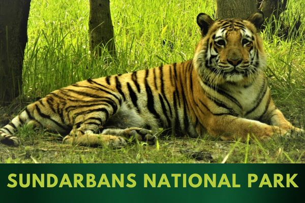 Sundarbans National Park