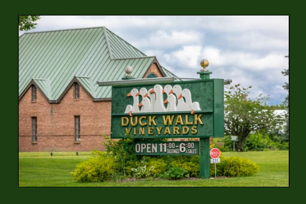 Duck Walk Vineyards