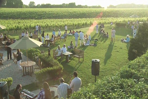 Wolffer Estates Vineyard