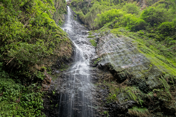 Chadwick Falls Shimla