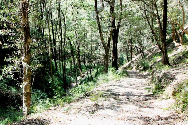 Shimla Glen