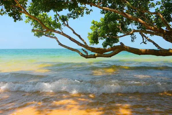 Ao Yai, Koh Phayam Ao Yai, Koh Phayam