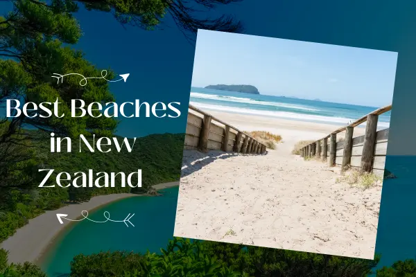 Best Beaches In New Zealand