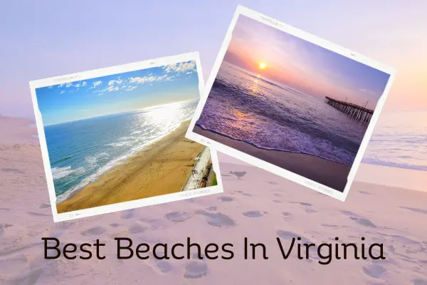 Best Beaches In Virginia