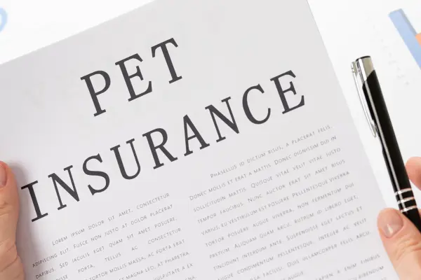 Pet Insurance Companies In USA